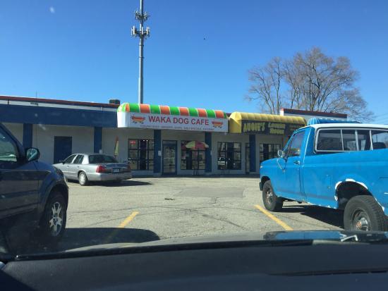 Waka Dog